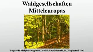 Waldgesellschaften Mitteleuropas [upl. by Kenay]