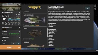 LARGEMOUTH BASS EVERGLADES FLORIDA FISHING PLANET [upl. by Sirtaeb]