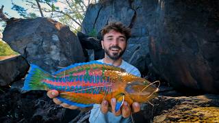 Ces gros poissons exotiques foncent sur mon appât vivant  Vlog PÊCHE 974 [upl. by Hurlbut]