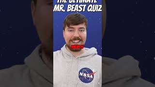 How Much Money Does MrBeast Make Earnings Per Video Per Second Month and Year [upl. by Moishe]