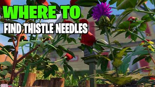 Where to Find Thistle Needle  Grounded 🐞🕷 [upl. by Ronica]