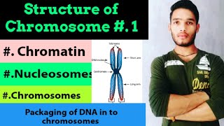 Structure of nucleosome DNA packaging Structure and types of chromosomes [upl. by Eirolam]