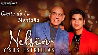 Nelsonysusestrellas  Canto de La Montaña Audio Oficial [upl. by Emie452]