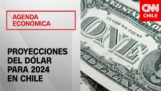 Nueva semana del dólar a 970 Experto entrega proyecciones para 2024  Agenda Económica [upl. by Gascony]