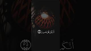 Recitation in Yasir al dossary voice viralvideo trending [upl. by Nesila]