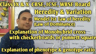 monohybridcrossheredityamp variationmendels1stlawofhereditylawofdominanceclassXampIX [upl. by Erdrich]