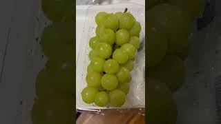 Shine Muscat  Premium Grape from Japan [upl. by Eladnwahs]