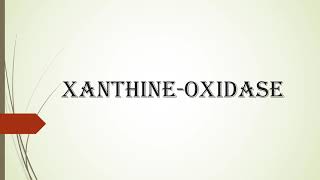 Xanthine Oxidase [upl. by Silin]