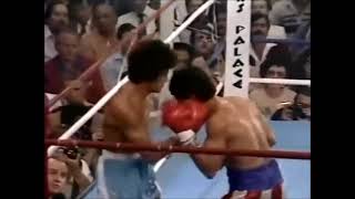 Salvador Sanchez Vs Wilfredo Gomez Highlights WBC Title [upl. by Miche939]