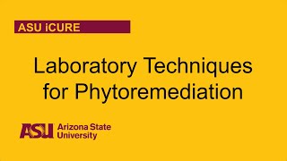 Laboratory Techniques For Phytoremediation [upl. by Yenaled35]