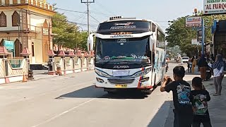 Pesona telolet Basuri SETYA PUTRI alfarizi vs DUTA SAYUR TRANS tamagochi [upl. by Tega]