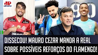 quotISSO É UMA COISA MALUCA cara O Flamengoquot Mauro Cezar FALA TUDO de possíveis CONTRATAÇÕES [upl. by Neellok]