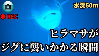 【水中映像】青物狙いでフォール中がいかに大事かよくわかる捕食シーン 釣り ジギング [upl. by Aiuqal]