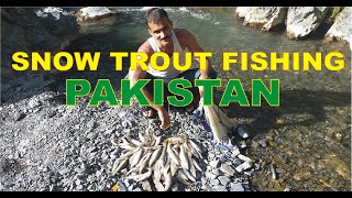 Cast Net Fishing in Pakistan  Snow Trout Fishing in streams [upl. by Ferreby]