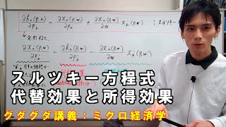 【ミクロ経済学】ミクロ経済学についてグダグダ語る講義：スルツキー方程式と代替効果・所得効果【難易度：学部中級から学部上級】 [upl. by Nosretep408]