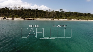 Toledo Ft D Carter  Capullo Video Oficial 2017 LaCremeDeLaCreme [upl. by Atinuahs486]