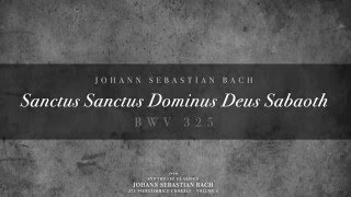 319 Sanctus Sanctus Dominus Deus Sabaoth BWV 325 [upl. by Mickie601]