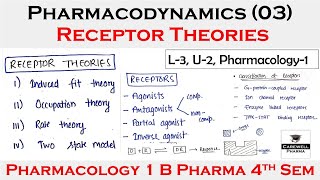 Receptors pharmacology  Receptor theories and Classification of receptors  L3 U2  Pharmacology [upl. by Noemi99]