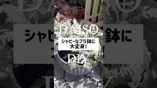 【100均園芸】超簡単！プラ鉢アレンジで速攻高見えするアイディア daiso 100均diy 園芸 ベランダガーデン [upl. by Winstonn]