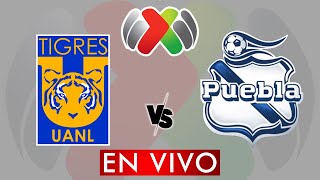 TIGRES VS PUEBLA EN VIVO  LIGA MX APERTURA 2024  JORNADA 11  DONDE VER EN VIVO [upl. by Onitselec198]