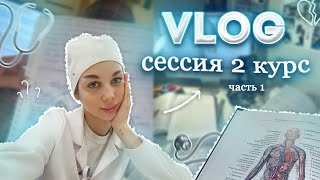 VLOG ЭКЗАМЕН ПО АНАТОМИИ  266 ВОПРОСОВ ЗА 3 ДНЯ [upl. by Ailefo973]