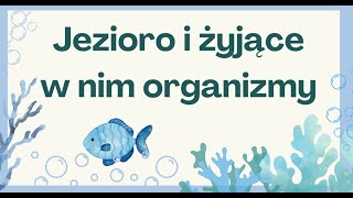 Tajemnice życia w jeziorze  lekcja przyrody dla klasy 4 [upl. by Mairam]