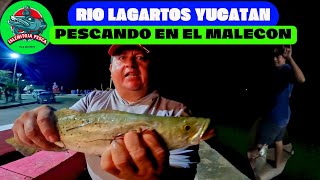 PESCANDO de noche en el malecon de rio lagartos y como pesque mi primera corvina desde orilla [upl. by Nidnerb]