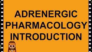 Adrenergic Pharmacology Introduction Drugs acting on NE Synthesis and Release [upl. by Enelaj289]