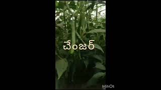 spinagritech new verity Changer చేంజర్ 9705400049 [upl. by Mukul]