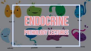 ENDOCRINE PATHOLOGY lecture 1 PITUITARY gland introdyctions and PITUITARY ADENOMA classification [upl. by Irama857]