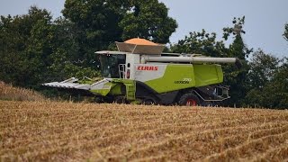 Moissonneuse batteuse CLAAS Lexion 770 en Bretagne région Quimperlé [upl. by Lombardo]