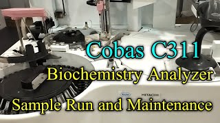 Cobas C311 biochemistry analyzer How to maintenance machine and test runbiochemistry [upl. by Wivestad]