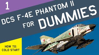 DCS F4E Phantom II for DUMMIES Chapter 1 Pilot and WSO Cold Start Procedure [upl. by Winebaum]