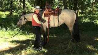 Julie Goodnight teaches about Different Saddle Riggings and Saddling [upl. by Harbison]