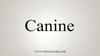 How To Say Canine [upl. by Sirob]