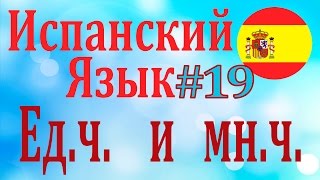 Единственное и множественное число ║ Урок 19║ Испанский язык для начинающих║ Карино [upl. by Ingelbert285]