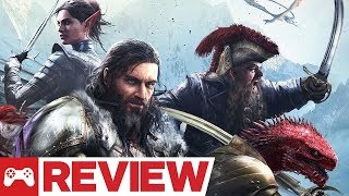 Divinity Original Sin 2 Definitive Edition Review [upl. by Acinoed]