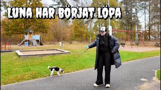 Ekonomiska problem inget skämt längre  VLOGG [upl. by Ciri655]