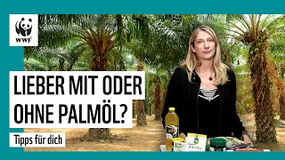 Palmöl Diese Produkte kannst du kaufen  Die besten Tipps  WWF Deutschland [upl. by Rim138]