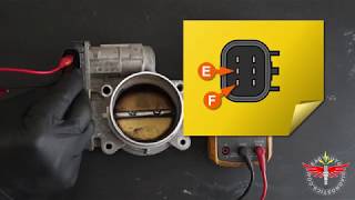 How To Test The Electronic Throttle Body GM Vehicles 20062011 [upl. by Habas874]