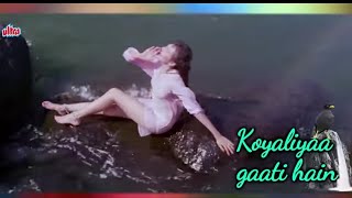 Koyaliya Gaati He Jangal Love Movie Full Song Kirti Shing viralvideo trending [upl. by Eoj226]