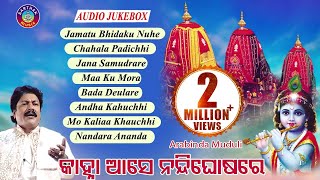 SUPER HIT BHAJAN OF ARABINDA MUDULI JAMATU BHIDAKU NUNHEALBUMKANHA AASE NANDIGHOSA RE [upl. by Warder786]