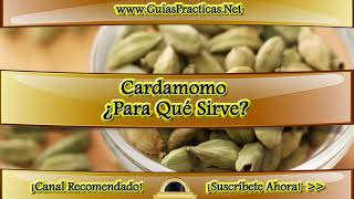 Cardamomo ¿Para Qué Sirve [upl. by Lauryn]