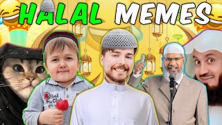 Halal Memes to watch before Ramadan 🌙✨  Funny Halal Memes  Part 06 [upl. by Euqinoj294]