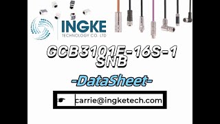 GCB3101E16S1SNB DataSheet ingkechipscom [upl. by Enialedam530]