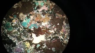 Amphibole thin section in microscope stage rotation in both conditions PPL ampXPL [upl. by Truda69]