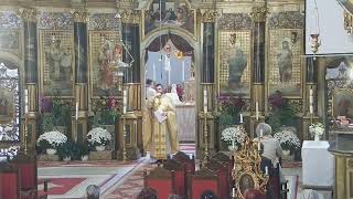 Episcopia GrecoCatolică de Oradea Live Stream [upl. by Screens]