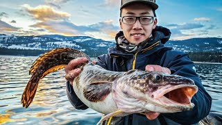 Burbot Catch Clean Cook  Full Day of Walleye amp Burbot Action [upl. by Aizahs]