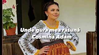 Cosmina Adam  Unde gura mea rasuna [upl. by Rooke]