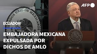 Ecuador declara quotpersona non grataquot a embajadora mexicana por dichos de López Obrador  AFP [upl. by Ahsinelg806]